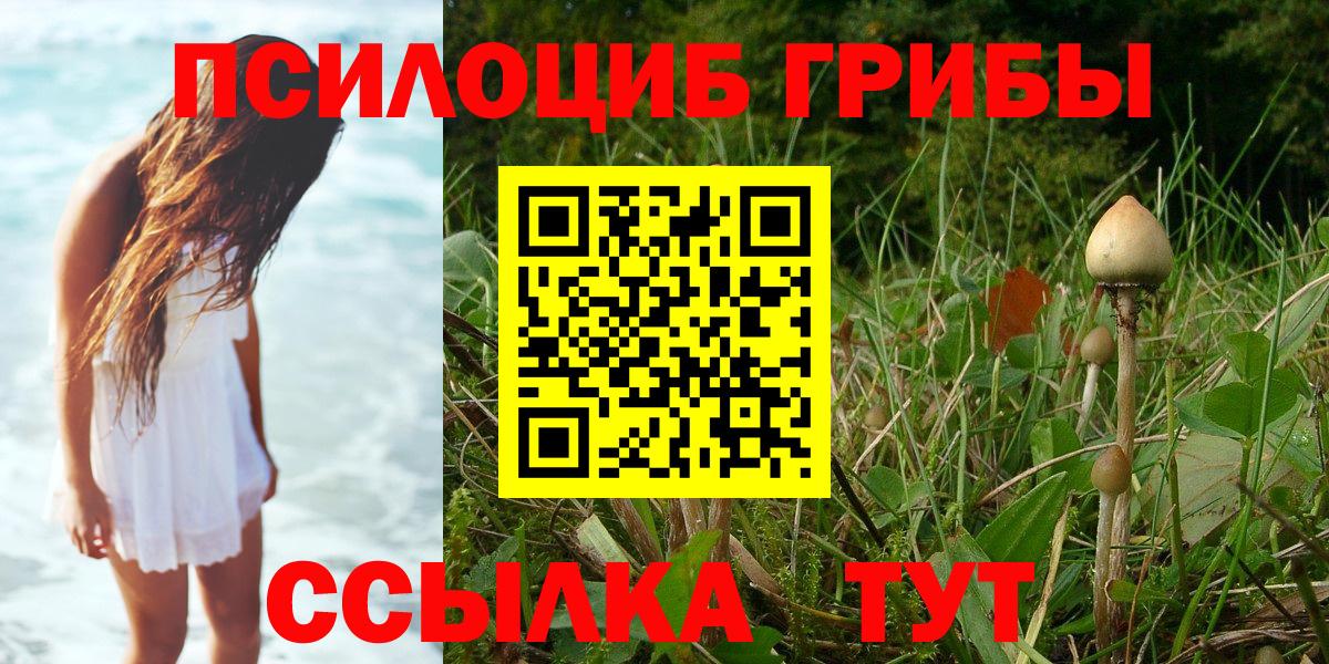 Псилоцибиновые грибы мицелий Кызыл