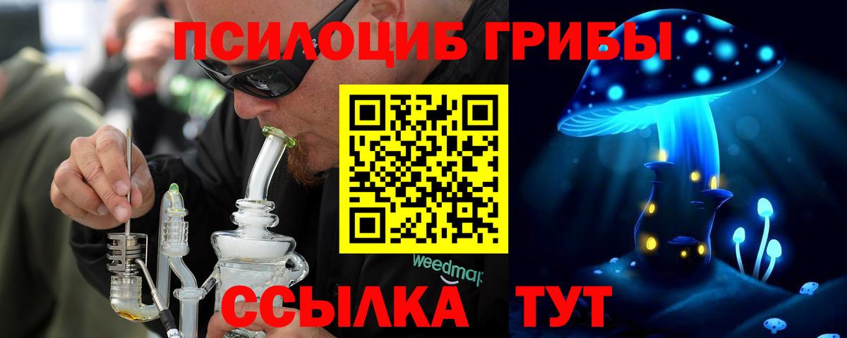 Псилоцибиновые грибы Psilocybine cubensis  Галлюциногенные грибы Psilocybe  Кызыл 